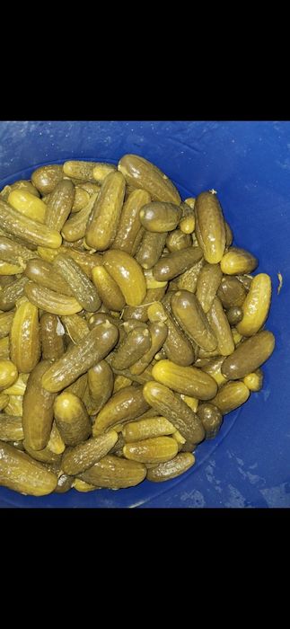 Продам огурцы солёные хрустящие