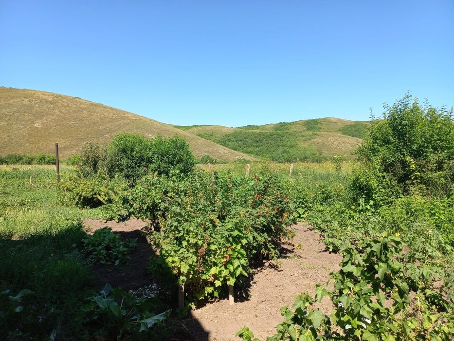 Продам дом в с. Быструха