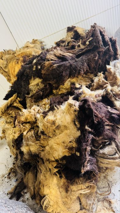 Peleți din lână de oaie îngrășământ