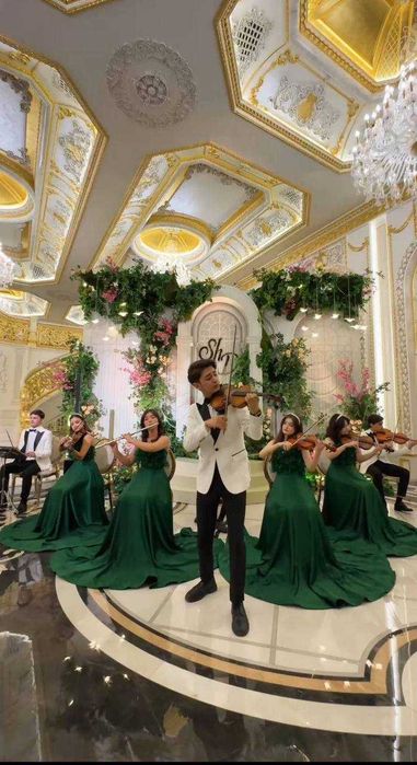 Живая инструментальная группа