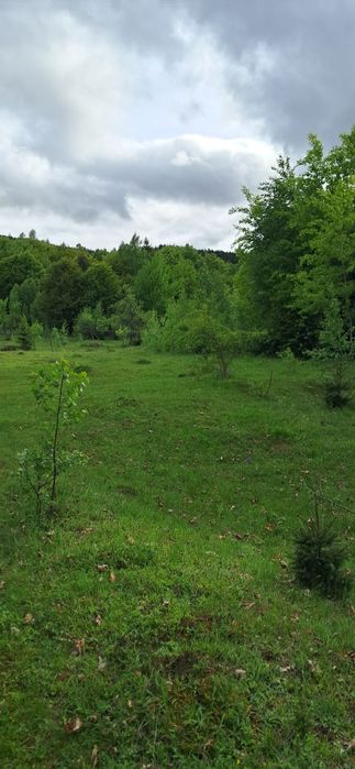 Teren intravilan