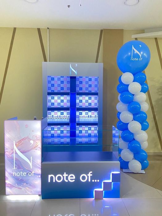 Шкаф Идеальный готовый