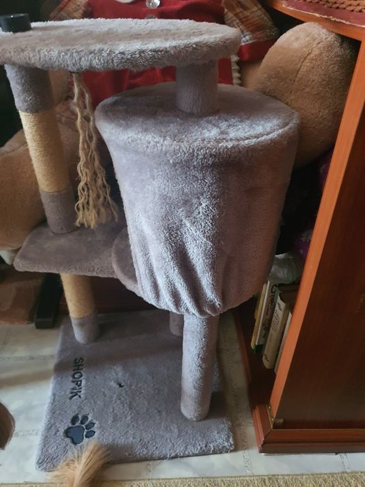 Кошачий дом для кошки