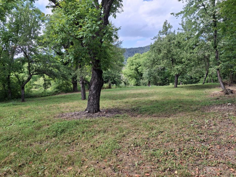 Продава се Парцел в Троян - 1950 кв.м за 20 €/кв.м - Снимка #1