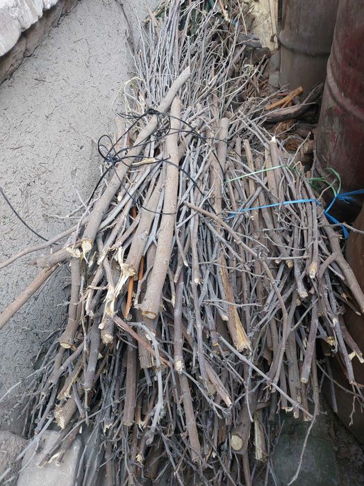 Продам Дрова и Хворост