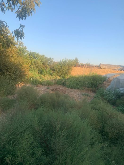 Ер сотилади 6 сотх