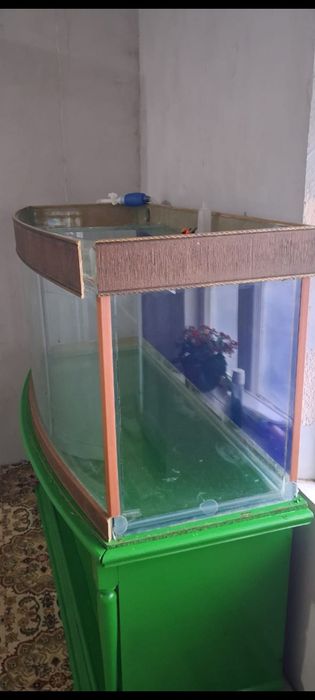 Продам большой аквариум