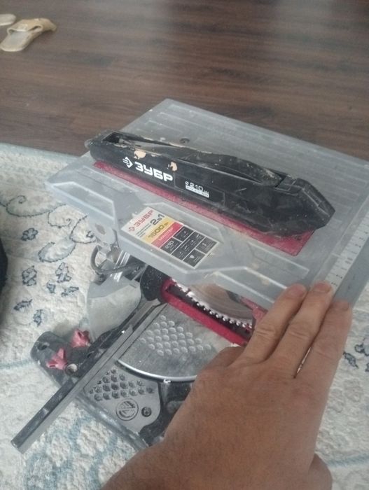 Тартсовка Зубр .