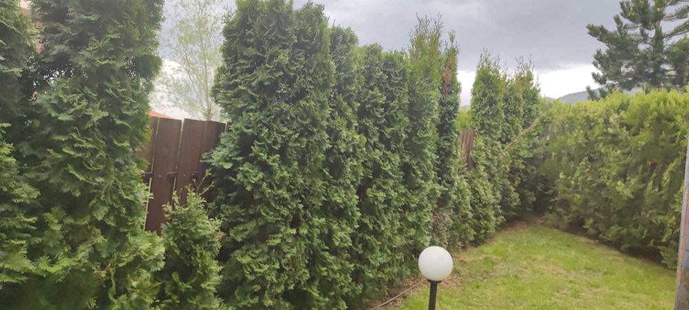 Продава се Къща в с. Бистрица, Област София-град - 535 кв.м за 1694 €/кв.м - Снимка #20