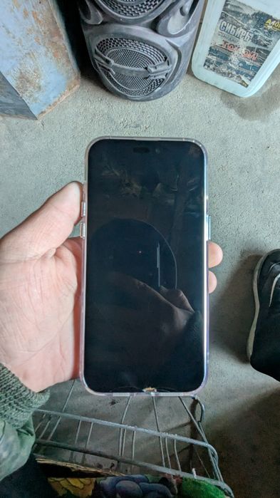 15 про Макс 256/100