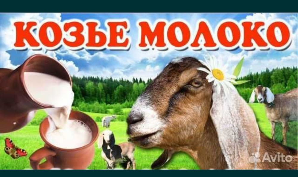 продам Козье молоко