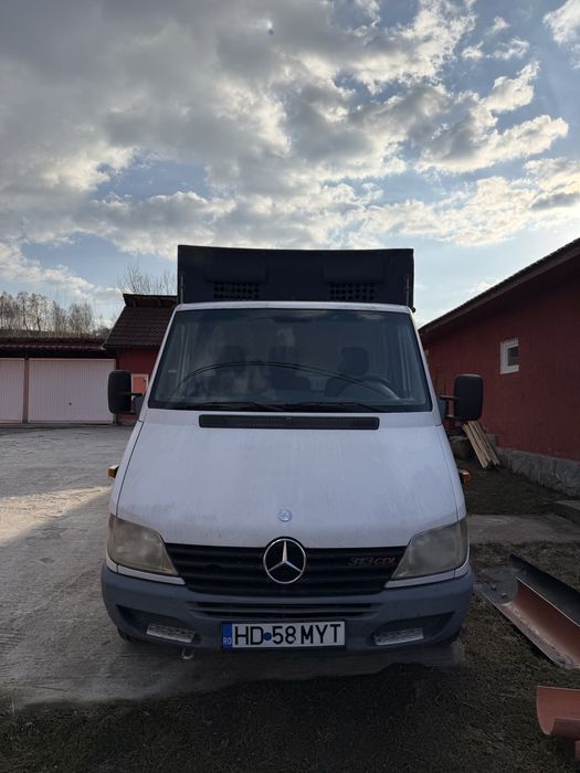Mercedes sprinter 313 transport animale