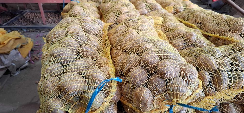 Картофи за консумация и семе