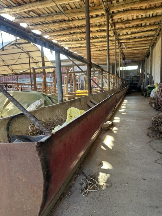 Mol boqish uchun Oxirlar Sotiladi