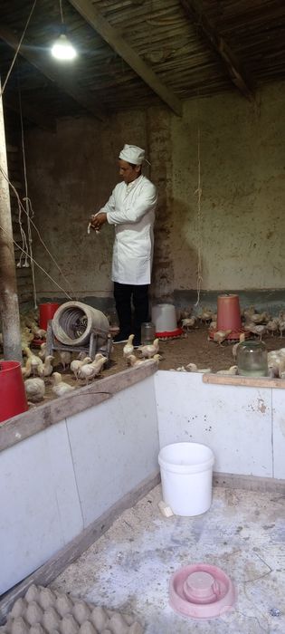 Veterinariya xizmati mavjud