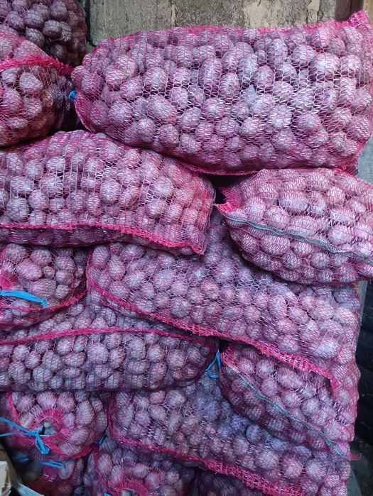 Baloti de fan, cartof de samanta