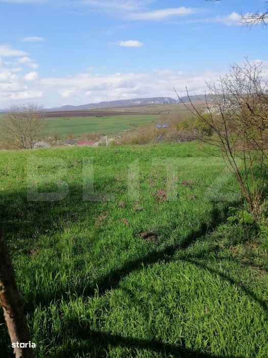 Teren intravilan, 1500 mp  in Turda