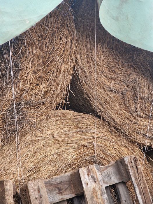 Vand baloate 120x120 si 60x70