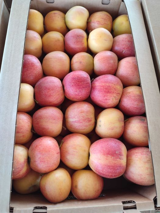 Сухофрукты яблоко, 1-й, 2-ой сорт