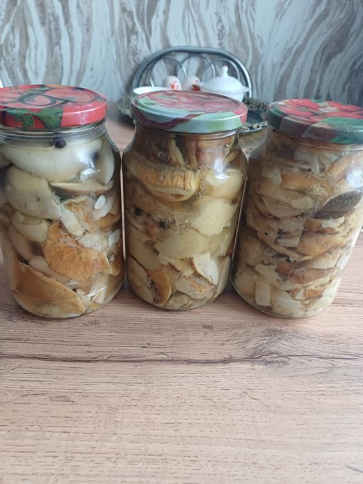 Продам соленья 2025 года