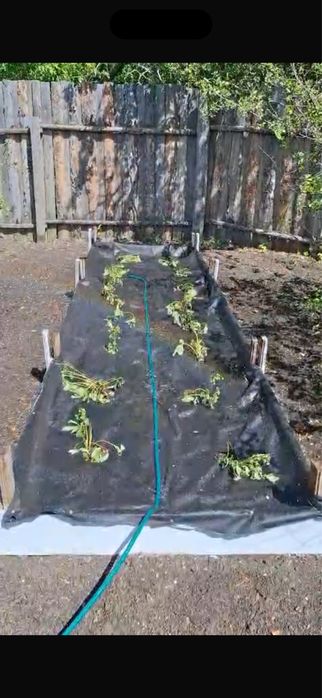 Дача 1 сады расширенная