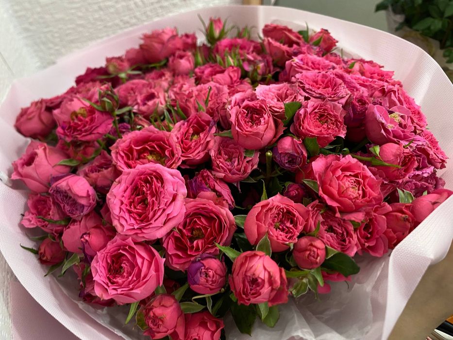 Продам цветы срочно