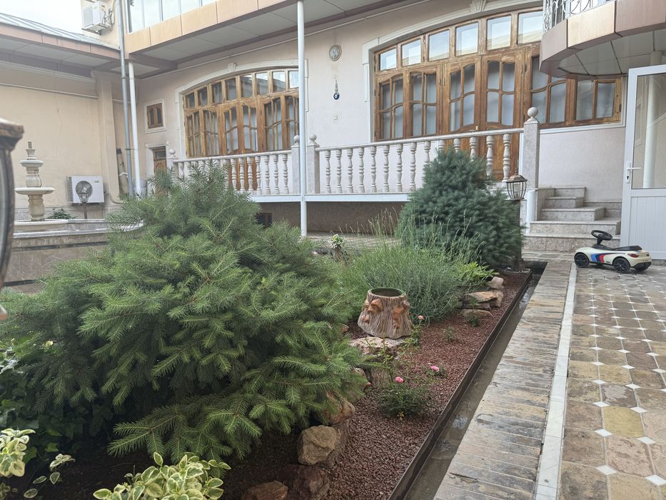 Sohibjamol Moviy Archa kichkinasi yosh archa bоғга va uyga