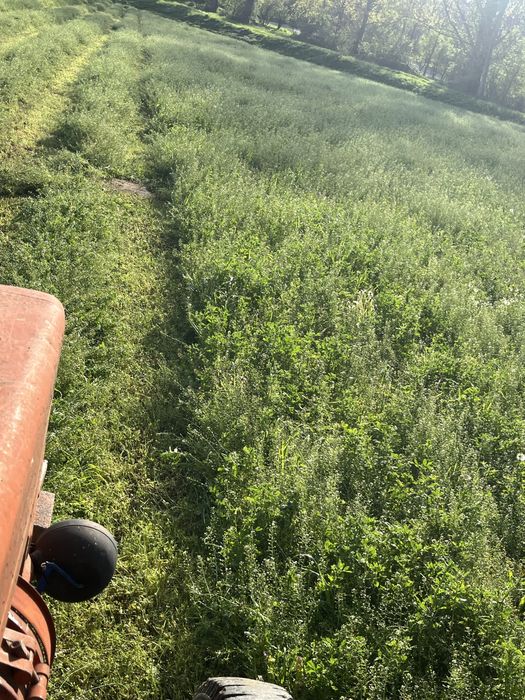 Продавам Бали Царевичак,Сено и Люцерна реколта 2025