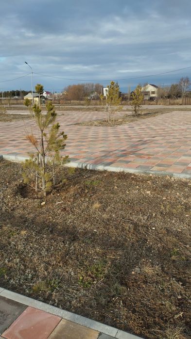 Укладка брусчатки Костанай