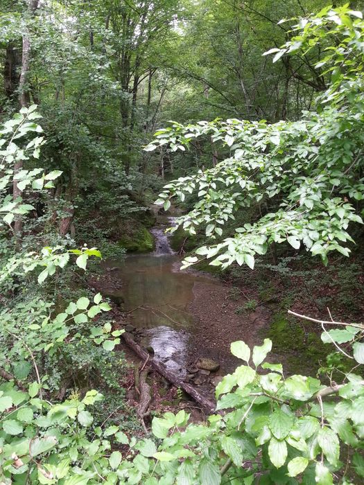 Продава се Къща в Върбица - 104 кв.м за 96 €/кв.м - Снимка #4