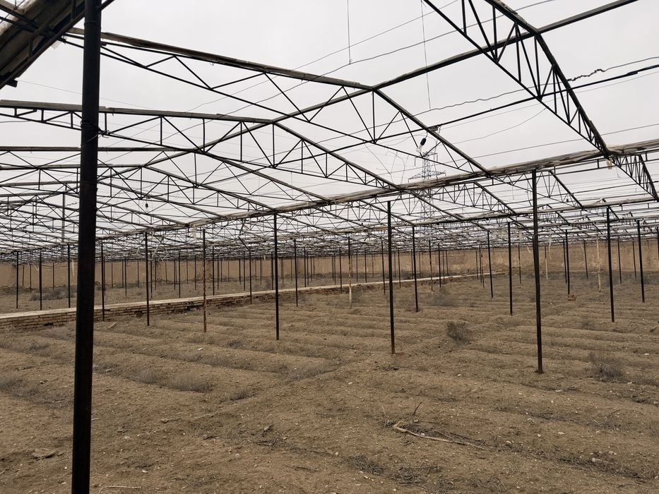 фирма                 иииииииииииии