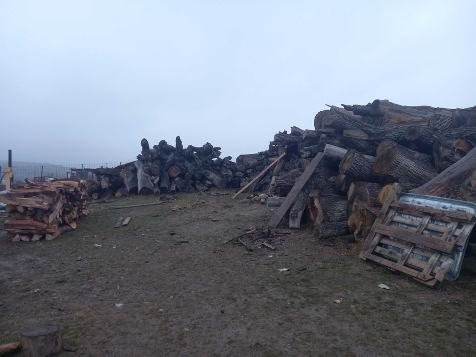 Lemne de foc fag carpen stejar