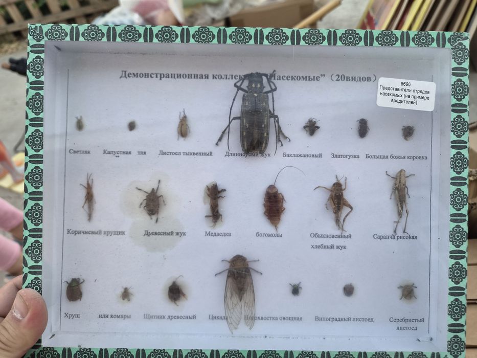 Кабинет биологии