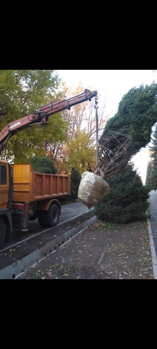 Вывоз мусора, гружу сам