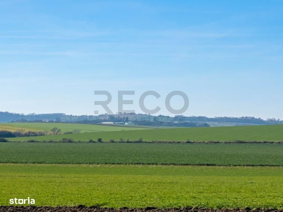 RECO Teren  pentru investitie  4ha Tauteu-Zona Autostrazii Transilvani