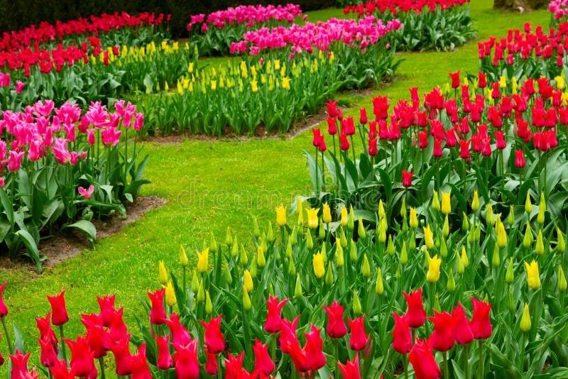 Здравствуйте! Саламатсызба!