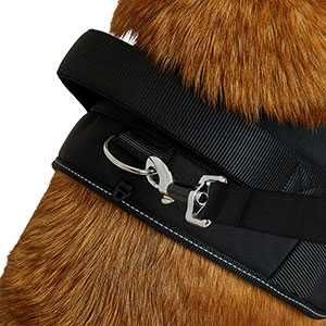 Zgarda lesa Pets at Home Short Traffic Dog Lead Black Large