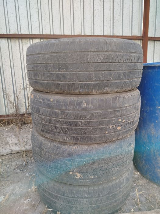 Пакришка летнни 19