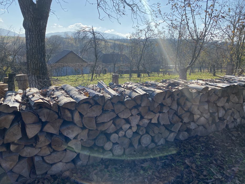 Lemne de fag pentru foc