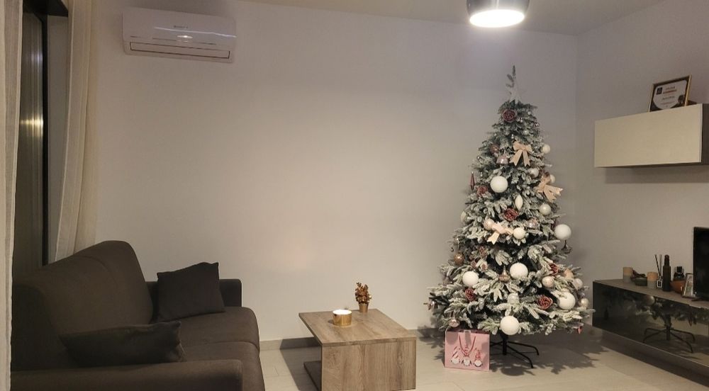 Brad nins,2.10m cu toate accesoriile