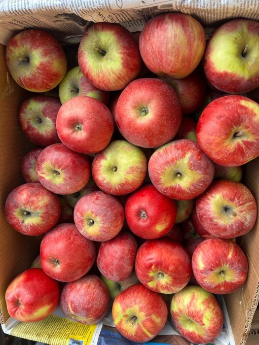 Апорт груши яблоки ассорти