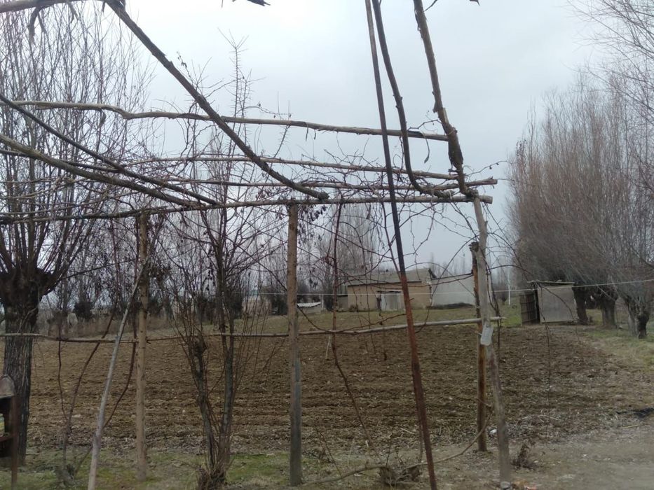 Үй сотилади Бока туманида