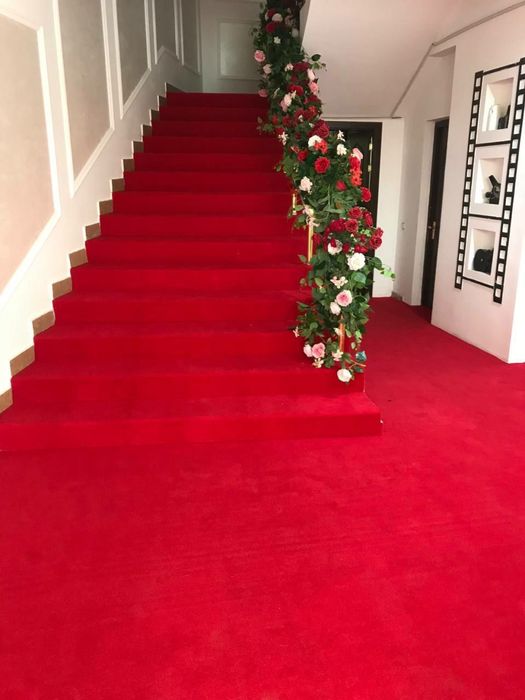 Qizil palos ( dekorativniy )