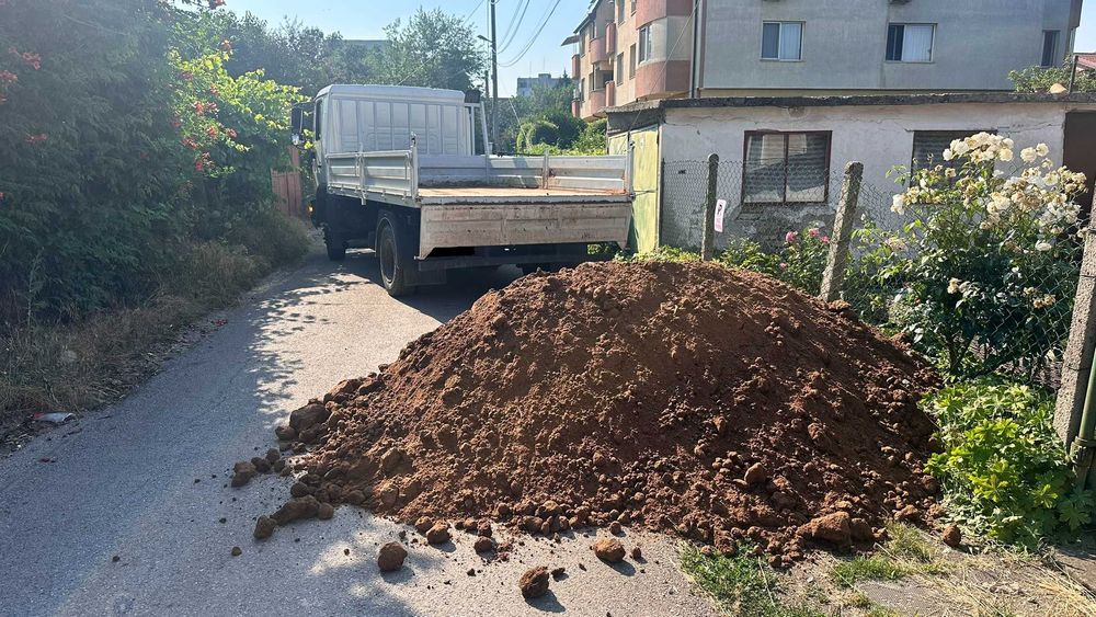 Пресят биохумус (плодородна почва), добит от конкретен плодороден слой и район - чист, песъклив, без камъни и плевели + транспорт
