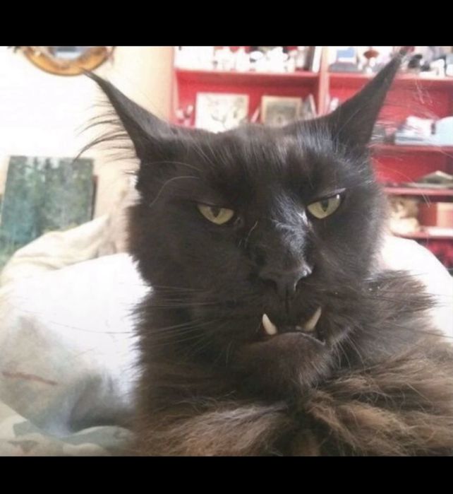 Айфон 8 заблоканныи