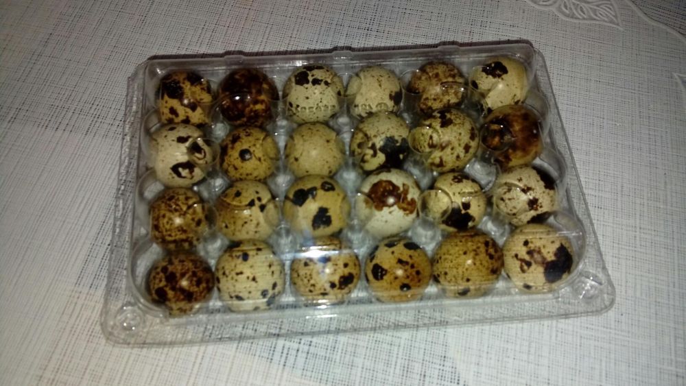 Ouă de prepelită proaspete pt consum, tratament