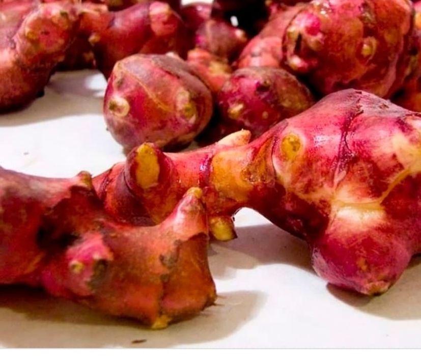 Топинамбур красный свежий