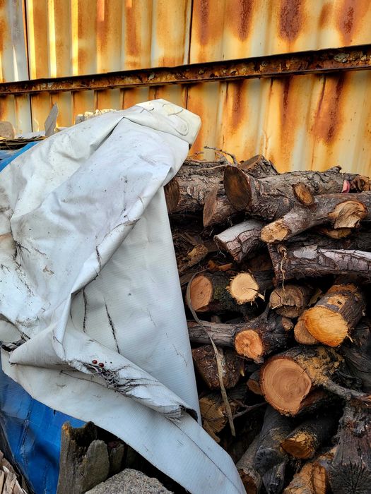 Дрова сухие,дрова колотые карагач