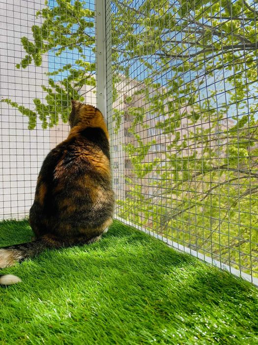 Plase metalice de protectie pentru pisici si insecte/custi/usi/balcon