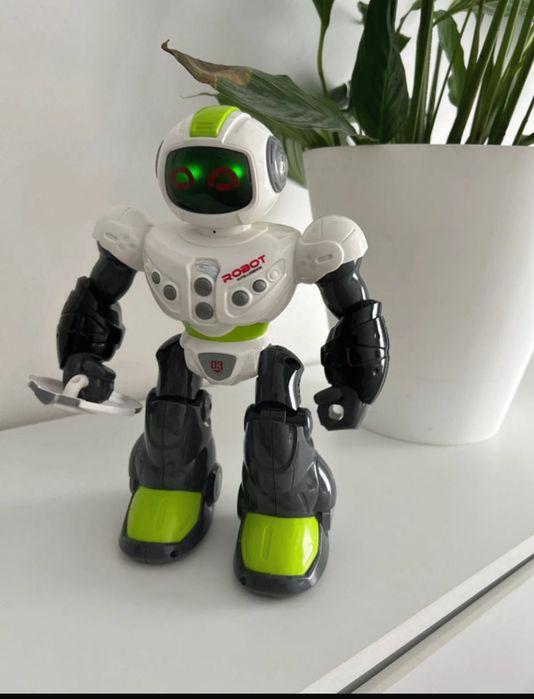 Robot interactiv